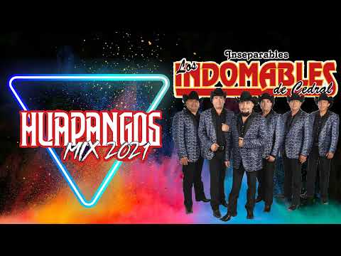 POPURRI HUAPANGOS CHINGONES MIX 2022 - Los Indomables De Cedral   Puros Huapangos Mix 2022
