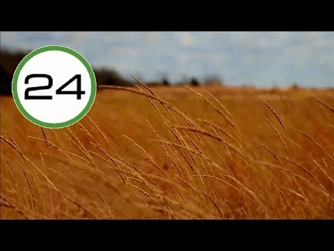 Thumbnail for SONIDO de LLUVIA y VIENTO ☔???????? Lluvia SUAVE y FUERTE con VIENTO Intenso para Dormir o Estudiar