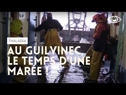 Au Guilvinec, le temps d’une marée  - Thalassa