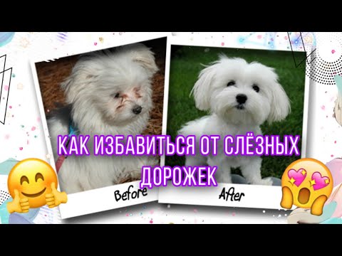 Thumbnail for СЛЕЗНЫЕ ДОРОЖКИ. ЧАСТЬ 2. Как от них избавиться. Помогут ли пищевые добавки?