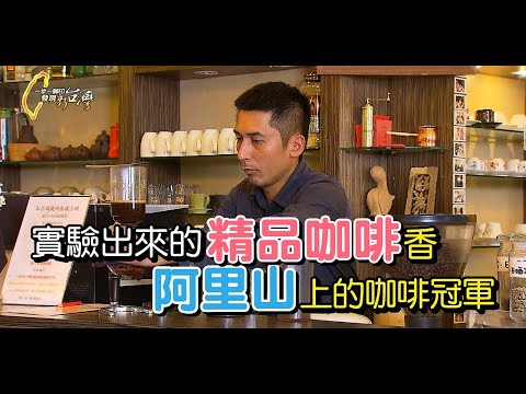 返鄉從門外漢開始的阿里山冠軍咖啡【一步一腳印精選】