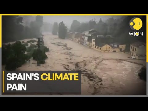 Floods & aftermath of heavy rains in Spain | WION Climate Tracker