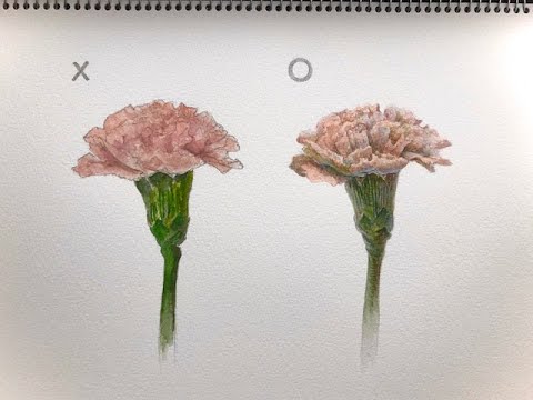 初心者デッサン講座 水彩編 1/2 色彩の基本的考え方