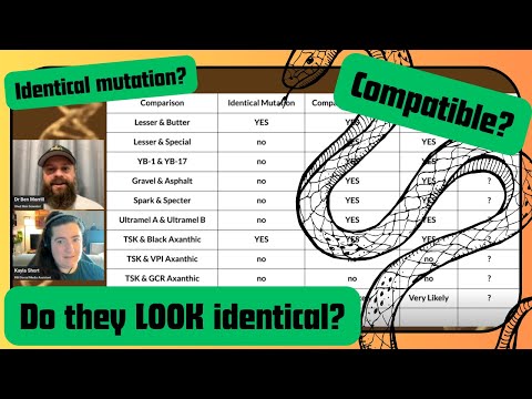 Can DNA Testing Tell If Two Mutations Will LOOK Identical? Well... - RGW Ep 61