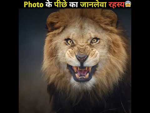 Thumbnail for Photo ???? के पीछे का जानलेवा रहस्य ???? | Mystery behind lion photo#Shorts