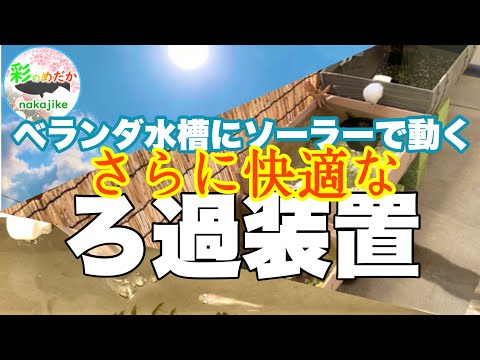 ソーラーで動くろ過装置がさらに快適に ! メダカベランダ水槽