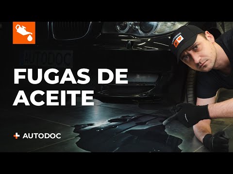 Las 5 causas más comunes de las fugas de aceite | Consejos AUTODOC