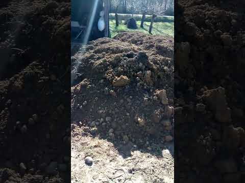 ces l&apos;hiver, voici les gros changement au jardin partie 2