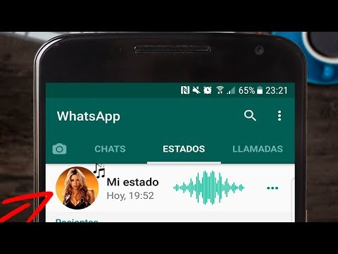 Thumbnail for 10 trucos para estados de WhatsApp que debes probar YA