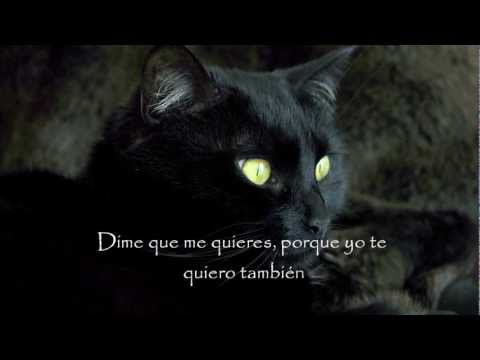 Thumbnail for Nando Reis Luz dos olhos Traducción al español Luz de los ojos