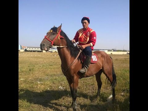 Нуржан Мелисбек уулу - көк бөрүнүн «ТЕРМИНАТОРУ»