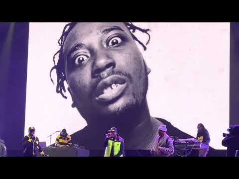 Wu Tang Clan : Shame on a Nigga. LIVE Festival Estéreo Picnic 2023