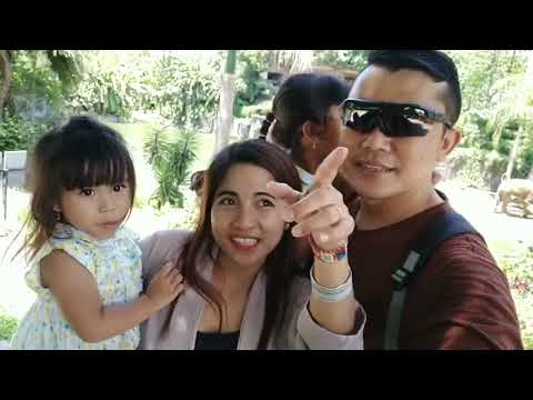 Bali Zoo Wisata Kebun Binatang di Bali / Naik Gajah di Bali Zoo / Liburan Keluarga