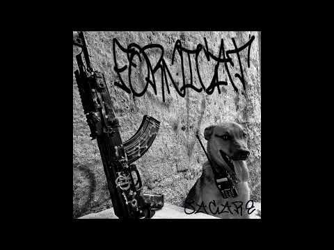 Fornicat - Jacaré