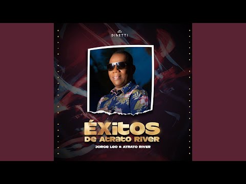 Thumbnail for Llegaste a Mi Vida