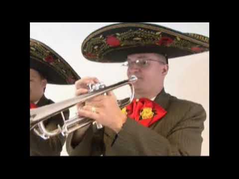 HA LLEGADO UN ANGEL - MARIACHI MEXICOLOMBIA