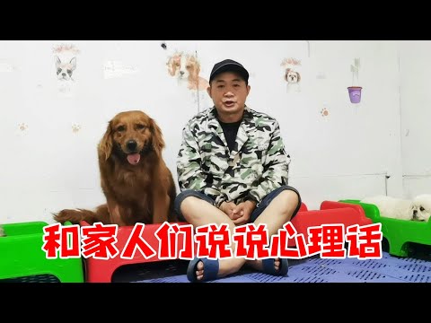 从2020年开始救助流浪狗,到如今已经2年了,老五和大家说说心里话【老五和流浪狗的故事】