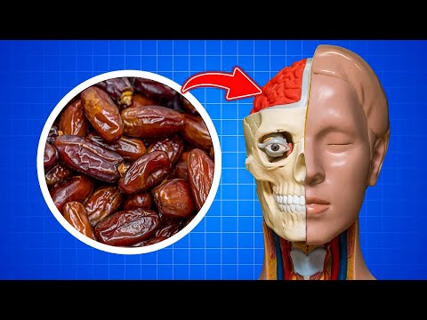 Que Se Passe-t-il Si Vous Mangez 2 Dattes Par Jour ?