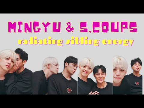 S.Coups and Mingyu radiating sibling energy  #gyucheol