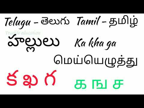 తమిళంలో హల్లులు | தெலுங்கில் மெய் எழுத்துக்கள் | consonants in Telugu and Tamil | alphabet's