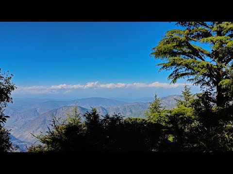 Whispers of Haldwani: My Silent Journey Begins