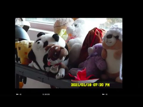 Snippy Snippets of aesthetic youth ~