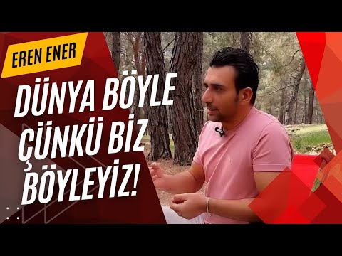 Thumbnail for Kollektif Bilinç Nedir? 100 Maymun Fenomeni ve Ayna Nöronlar - Eren Ener