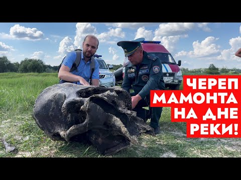 В реке нашли ЧЕРЕП МАМОНТА! Неожиданная находка белорусских спасателей