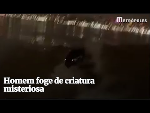 Homem foge de criatura misteriosa