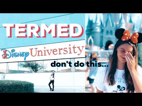 Thumbnail for TERMED FROM THE DISNEY COLLEGE PROGRAM - 10 Reasons Cast Members Could Get Fired From Disney #DCP