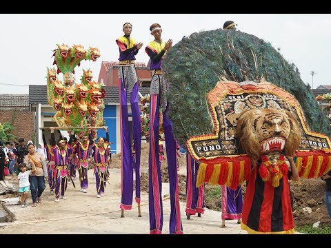 Thumbnail for Pelakor - Khitanan M Naufal Afkar - Singa Dangdut Sinar GaLuH N Cita