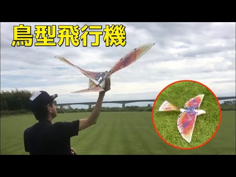 鳥型飛行機(羽ばたき機)【ラジコン飛行機】10