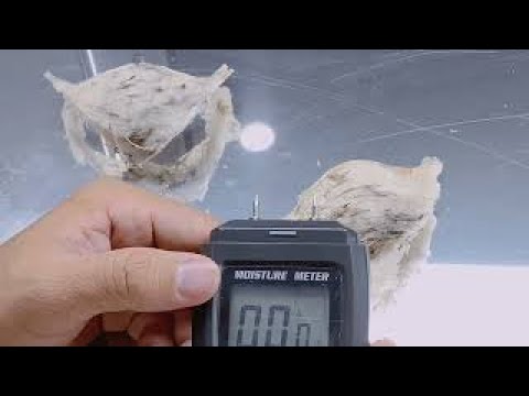 HƯỚNG DẪN CÁCH TÍNH VÀ TRỪ ẨM KHI THU MUA YẾN THÔ