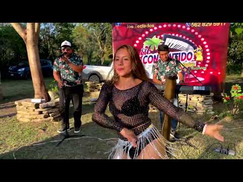 San Felipe - El consentido de los teclados