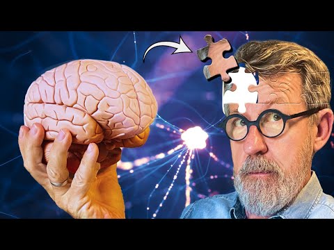 Trou de mémoire : Comment retrouver l&apos;information perdue ?