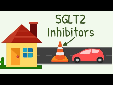 SGLT2 Inhibitors Mechanism of Action