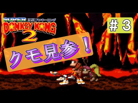 Thumbnail for 【ドンキーコング2】Part3 Very Hot!!!【実況】