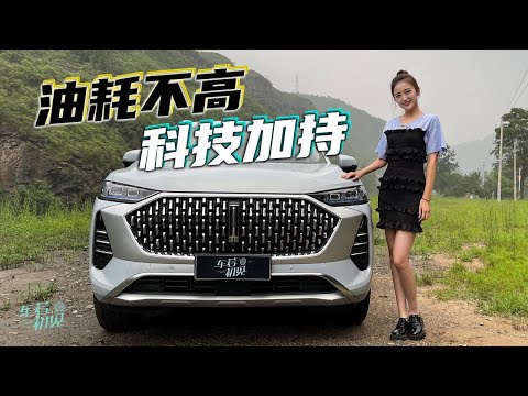Thumbnail for 静静 | WEY摩卡  油耗不高,科技加持,这样的摩卡你爱吗?【车若初见】