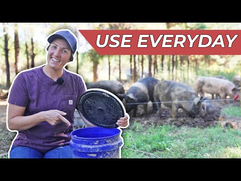 20 Must-Have Tools for Pastured Pigs
