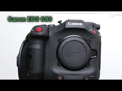 Canon EOS C80 (2024) - Hands-On, First Look!