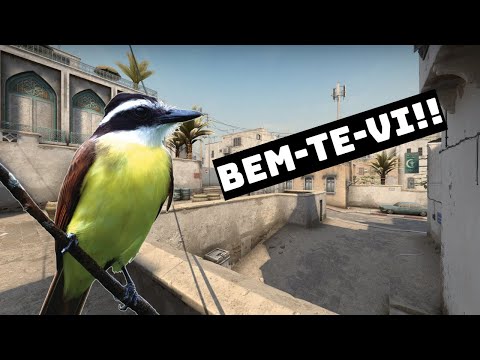 Thumbnail for BEM-TE-VI JOGANDO CS:GO