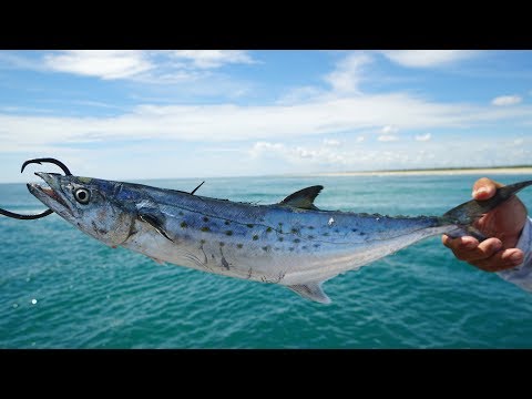 DEVOURED by Jetty GIANTS... MONSTER Bait Challenge