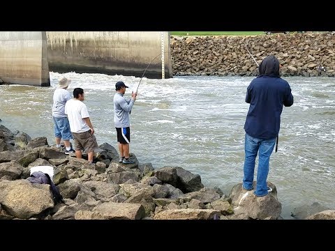 Thumbnail for Striper Fishing in Spillway. EP 15