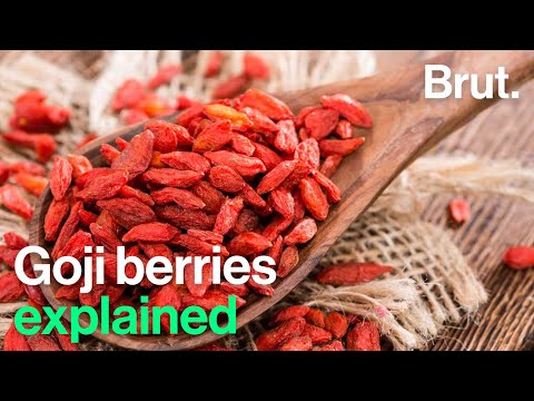 Thumbnail for The positives and negatives of Goji berries