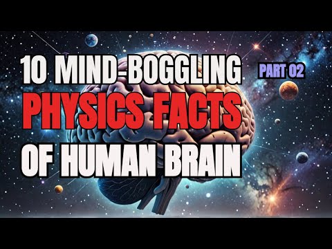 10 Mind-Boggling Physics Facts of Human Brain, Part 02