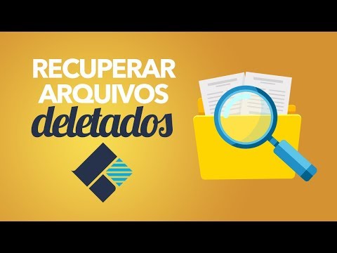 Como Recuperar Fotos Apagadas, Arquivos PDF´s ou Vídeos do Pendrive ou HD?