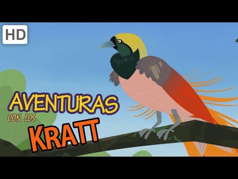 Aventuras con los Kratt - La Danza de las Aves (Episodio Completo - HD)