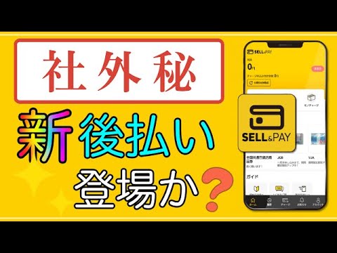 【セルペイ】社外秘!新しい「後払いサービス」登場か!?