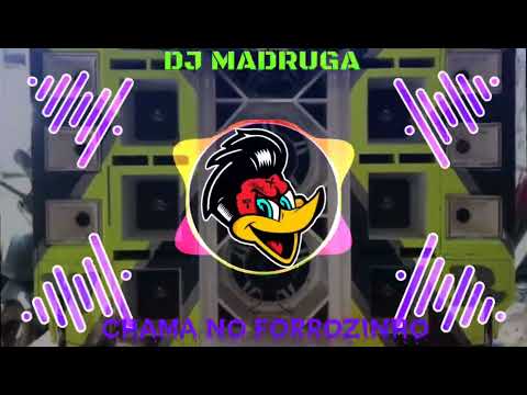 FORROZIN - POSSO TE EMPURRAR - DJ MELK COM GRAVE