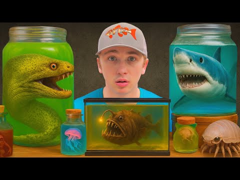Thumbnail for I Found The Deadliest Sea Creatures On The Dark Web!